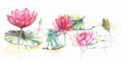 Logo de Liila’s Massage